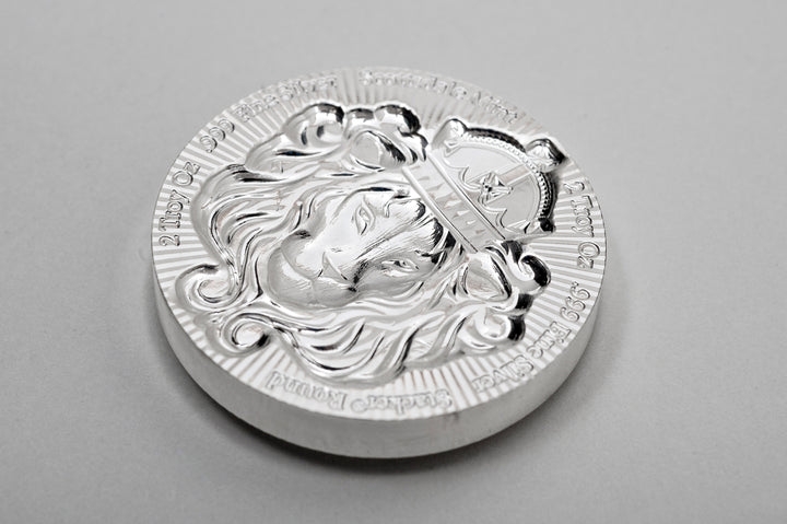 Scottsdale 100 g Silver Stacker® Round