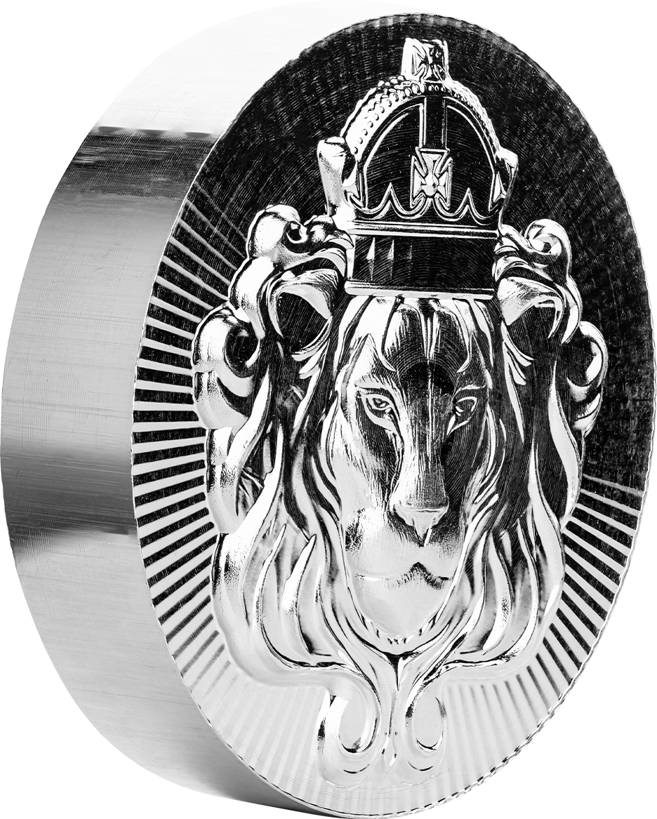 Scottsdale 100 g Silver Stacker® Round