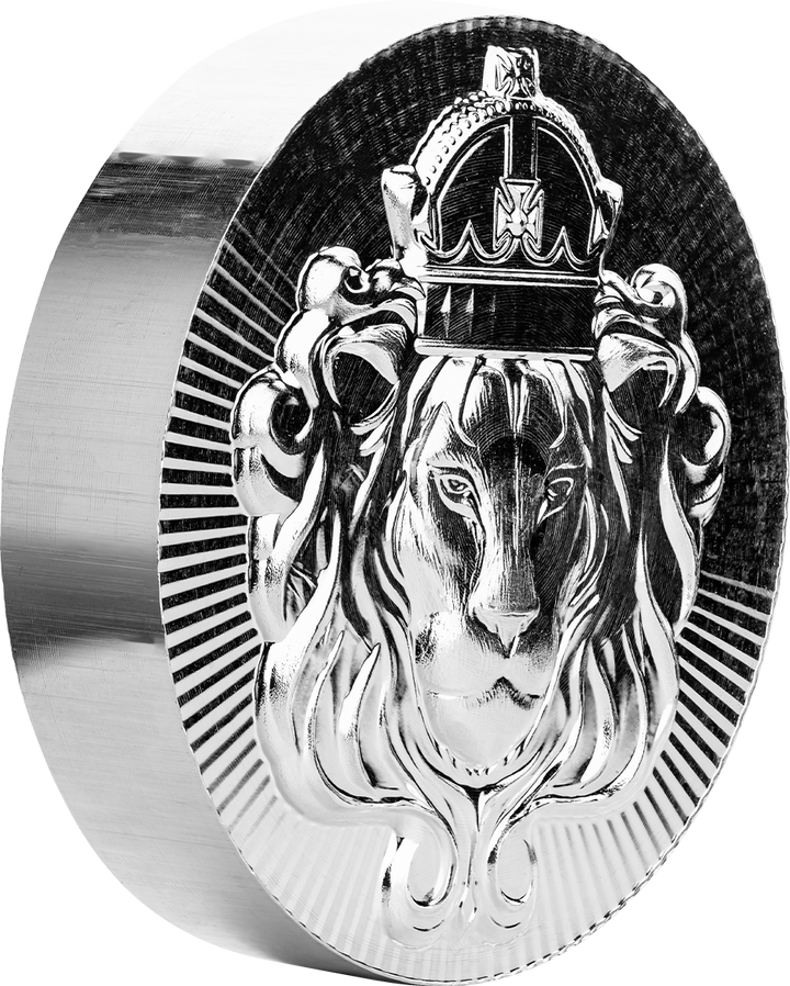 Scottsdale 100 g Silver Stacker® Round